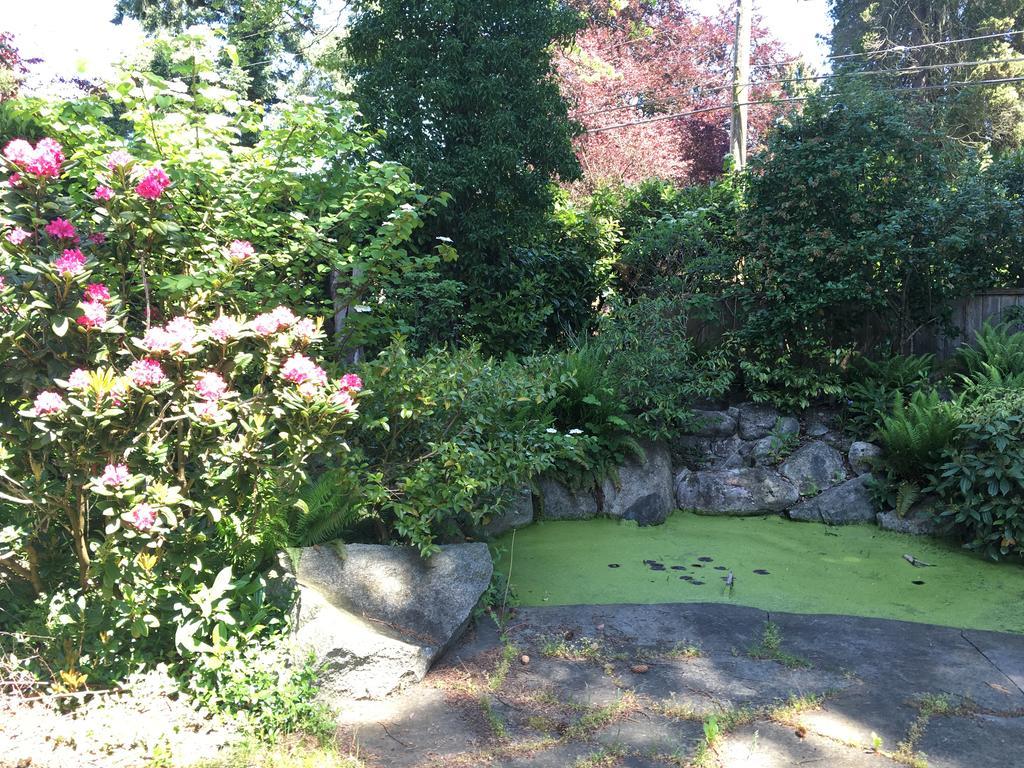 ホテルAngus House バンクーバー エクステリア 写真